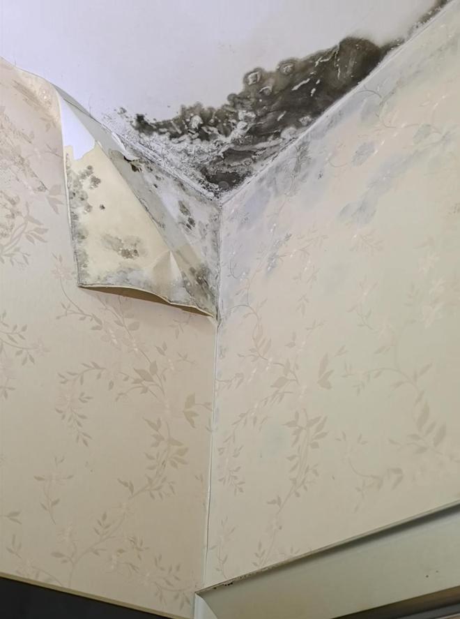 业主将住宅隔成5个独间出租 楼下邻居：每