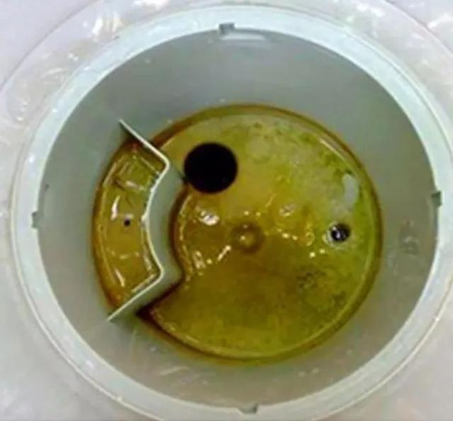 刷牙杯怎么还用着用着就包浆了？